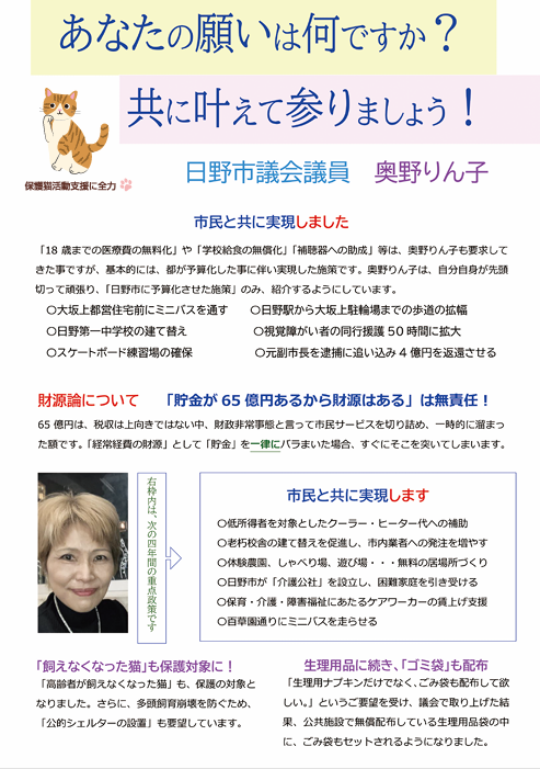 奥野りん子　チラシ　これまでの取り組み